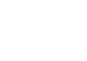 Avantgarde Acoustic